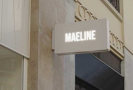 Enseigne électrique